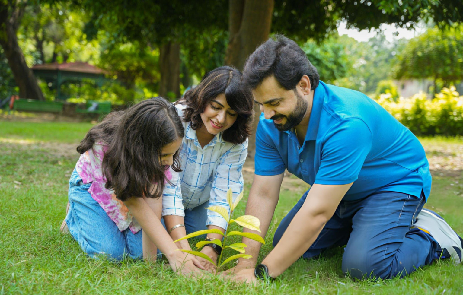 Parenting Counseling Background